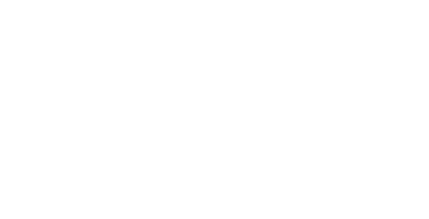 Digital Joint